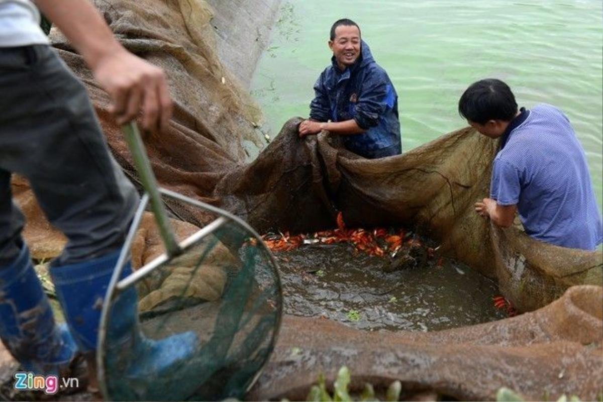 30 năm nay Thủy Trầm được biết đến là làng nghề nuôi cá chép lớn nhất miền Bắc. Do đồng ruộng nằm trong vùng đất chiêm trũng, thuận lợi cho đào ao làm thủy sản, cá chép đỏ Nhật Bản được đưa về gây giống và nuôi thả.