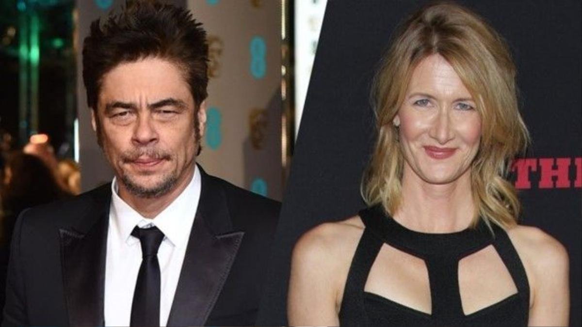 Benicio Del Toro và Laura Dern đều là những ngôi sao có tiếng từ lâu tại Hollywood. Ảnh: Shutterstock